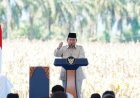 Presiden Prabowo Kejar Swasembada Pangan, Indonesia Bebas Impor Beras 3 Bulan Lagi
