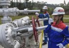 Panas Bumi Nusantara, Dari Ancaman Bencana Menjadi Sumber Energi Hijau
