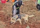 Polri Kerahkan Anjing Pelacak dalam Pencarian Korban Longsor Cilacap