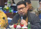 Ilham Permana: Perjuangan Sang Politisi Golkar ke Senayan