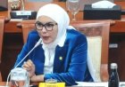 Okta Kumala Dewi: Dari Bisnis Kesehatan ke Senayan, Anggota DPR RI 2024-2029