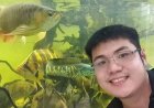 Nicholas Kurniawan: Dari Keterbatasan Finansial Menjadi Eksportir Ikan Hias