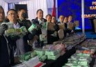 BNN Musnahkan 113 Kg Sabu dan Ribuan Ekstasi, Selamatkan 690 Ribu Jiwa