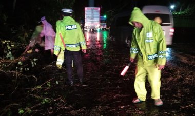 Polsek  Pekutatan Gerak Cepat Tangani Pohon Tumbang di Jalur Utama Jembrana