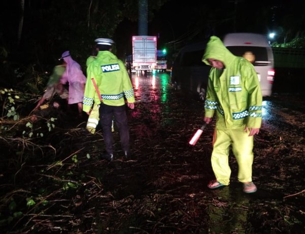 Polsek  Pekutatan Gerak Cepat Tangani Pohon Tumbang di Jalur Utama Jembrana